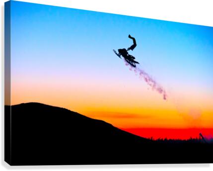 Tropical Flights Canvas Print