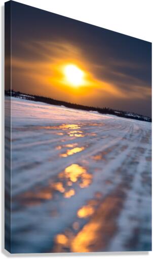 Cosmos Fusion Canvas Print