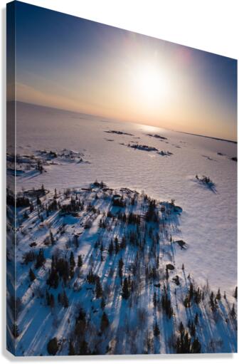 Island Vibes Canvas Print