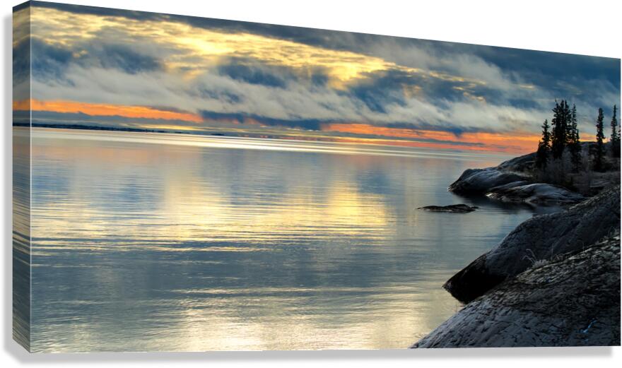 Monochrome Magic Canvas Print