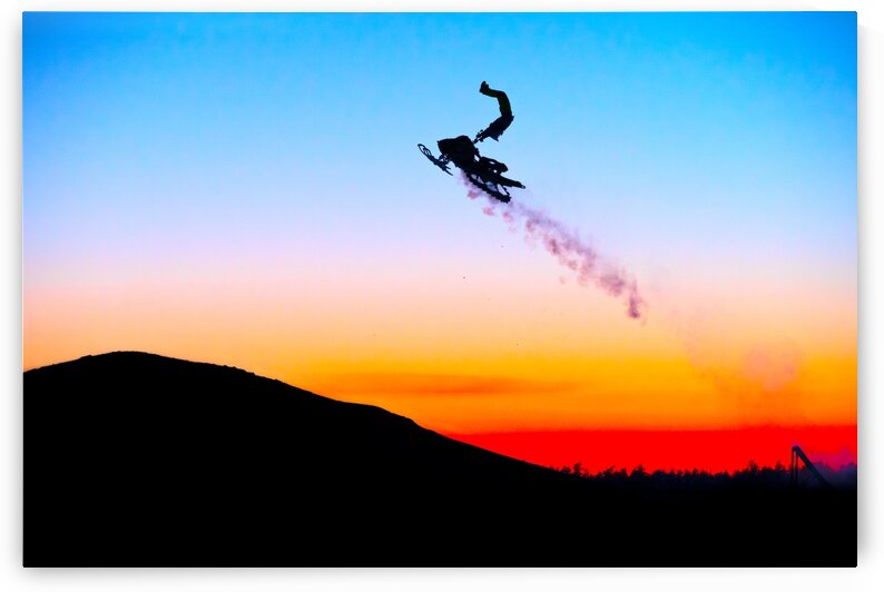 Tropical Flights by Klingbeil Visuals