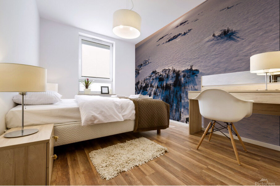 Island Vibes Mural print