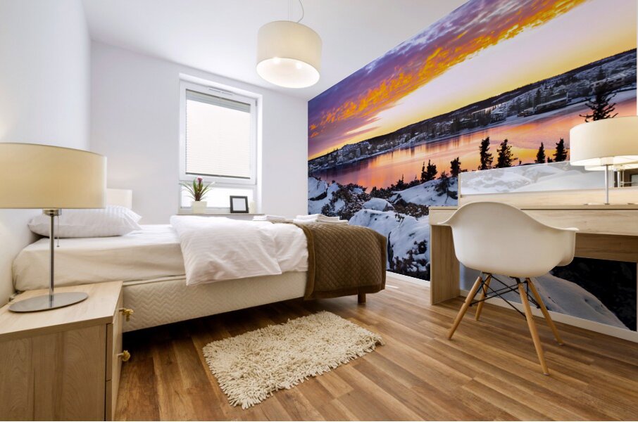 First Snowfall Mural print