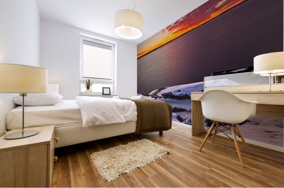 Freezing Time Mural print