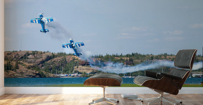 Airshow Wall Murals