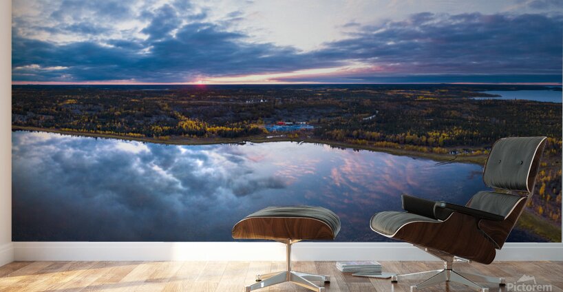 Fall Flights Wall Murals