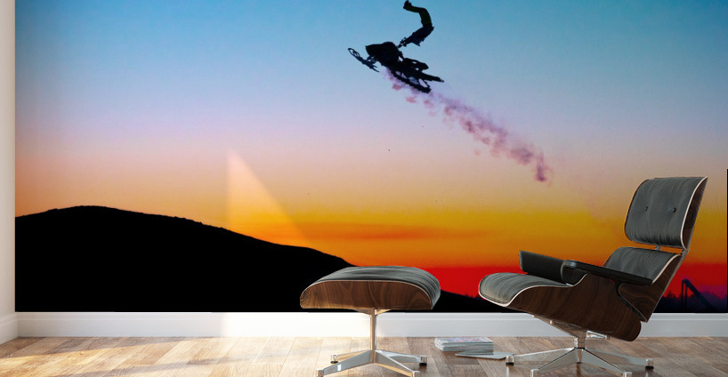 Tropical Flights Wall Murals