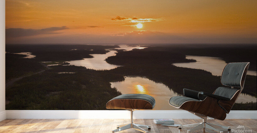 New World Rising Wall Murals