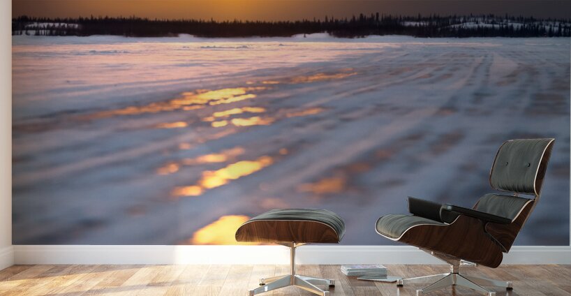 Cosmos Fusion Wall Murals