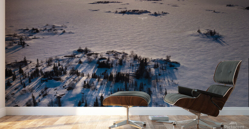 Island Vibes Wall Murals