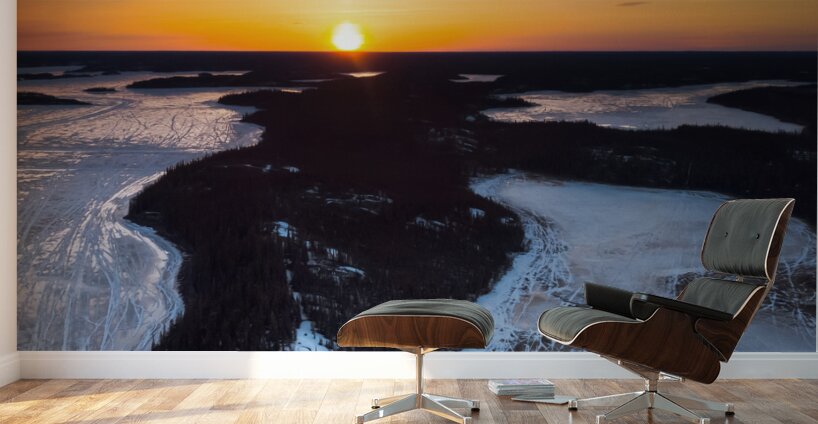 Tracked Out Wall Murals