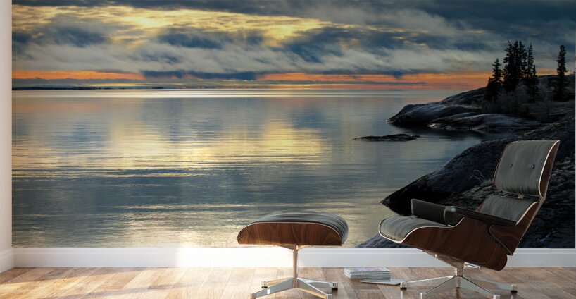 Monochrome Magic Wall Murals