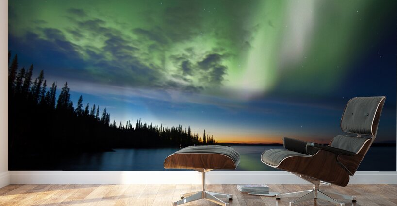 Prelude Nightfall Wall Murals