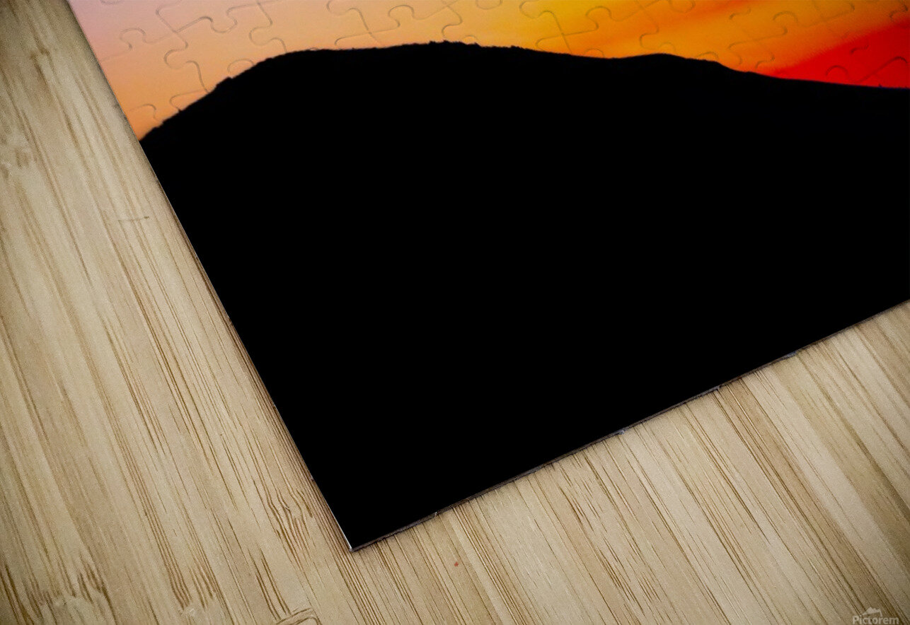 Tropical Flights Klingbeil Visuals Puzzle